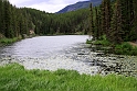 Ved Yellowhead Pass